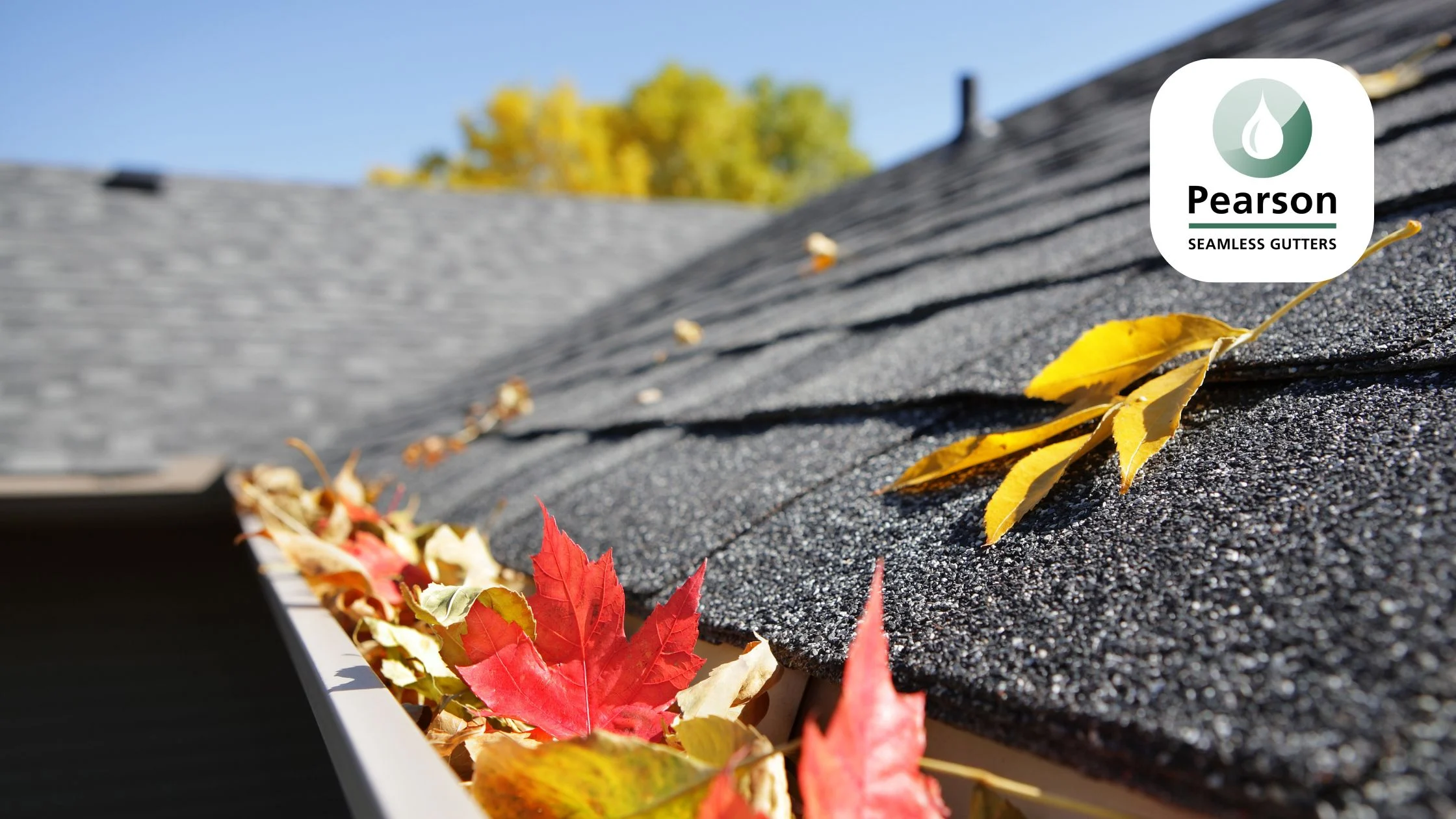 Fall Maintenance Checklisst