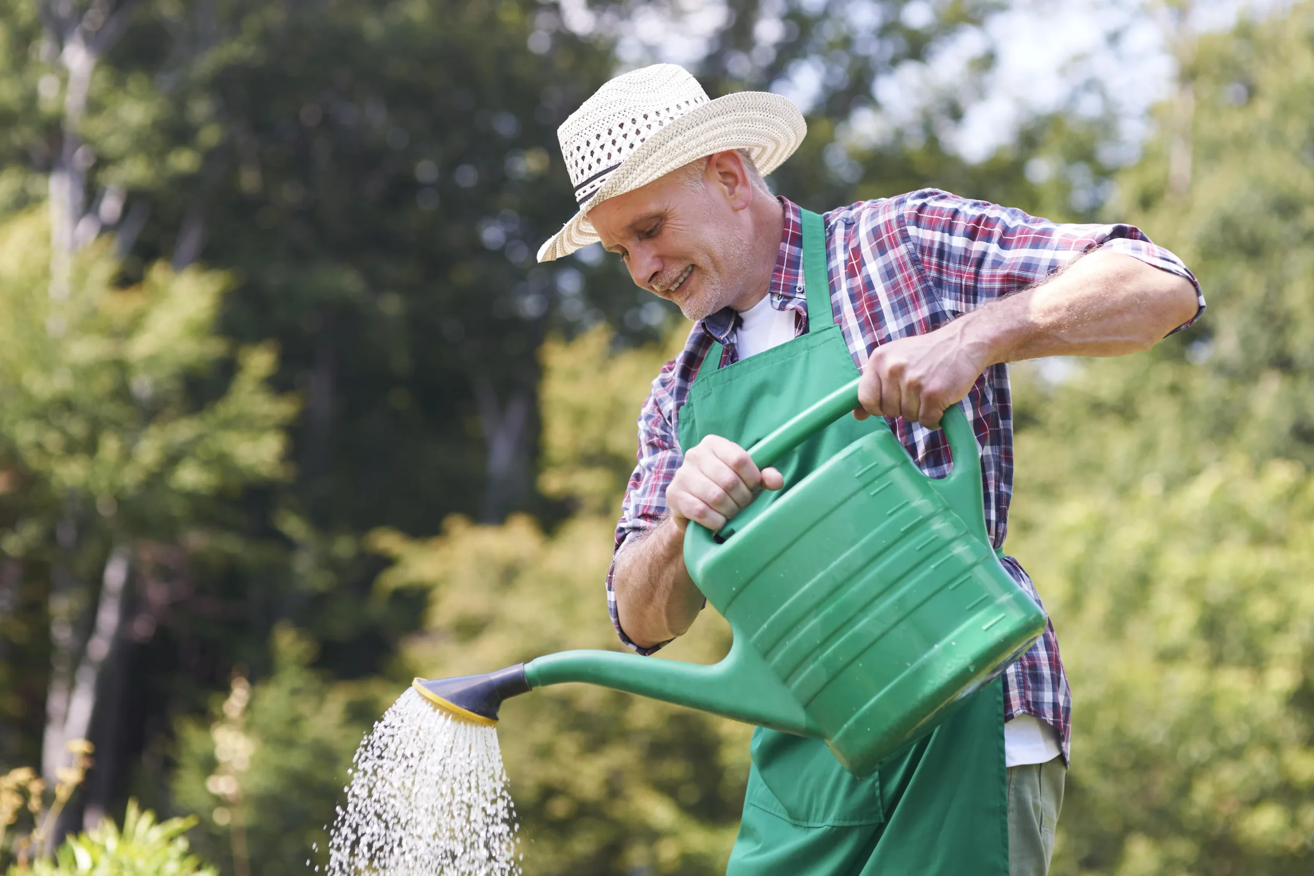 Man Using Rain Water for His Garden Man Using Rain Water for His Garden